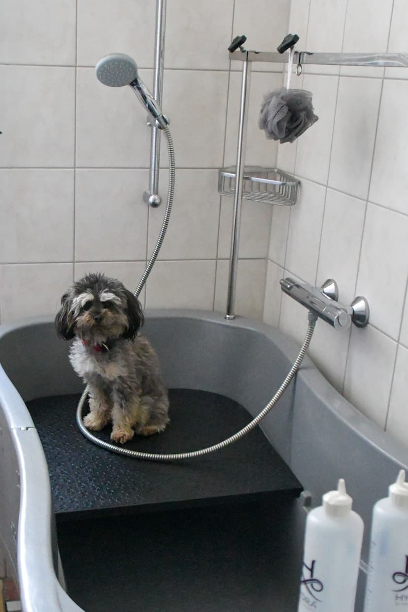 Hundefriseur-Badewanne