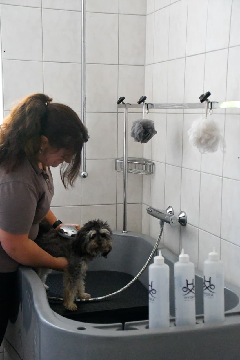 Hundefriseur-Badewanne-Frau-Hund