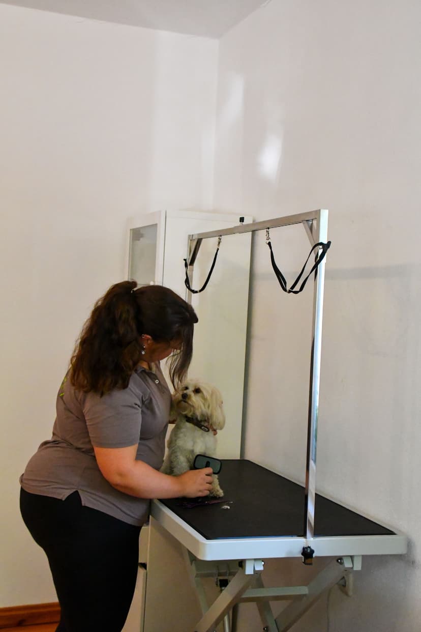 Hundefriseur-Frau-Hund
